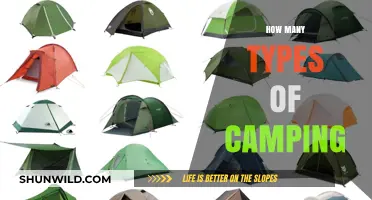 Exploring the Diverse World of Camping Styles and Types