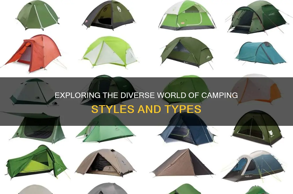 how many types of camping