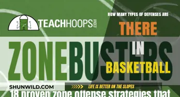 Defenses in Basketball: How Many Types Exist?