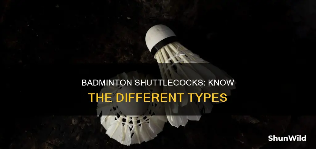 how many types of shuttlecock the sports badminton has