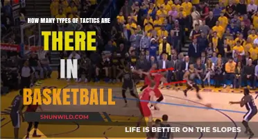 Tactics in Basketball: Understanding Diverse Strategies for Victory