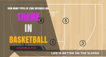 Zone Defenses in Basketball: How Many Types Exist?
