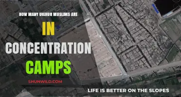 Uighur Muslims in Concentration Camps: Uncovering the Shocking Numbers