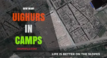 Unveiling the Crisis: Uighur Detention Camps and Their Impact