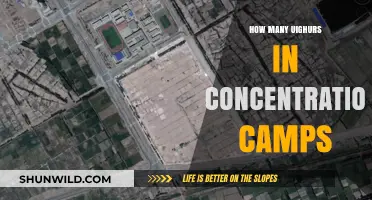 Uighur Detention Crisis: Unveiling the Scale of Xinjiang's Camps