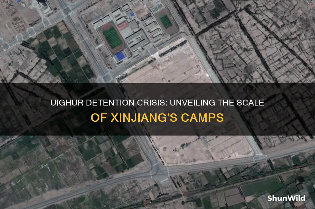 how many uighurs in concentration camps