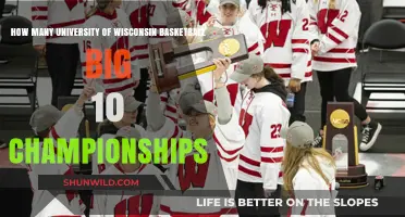 Badgers' Big Ten Basketball Championship Legacy