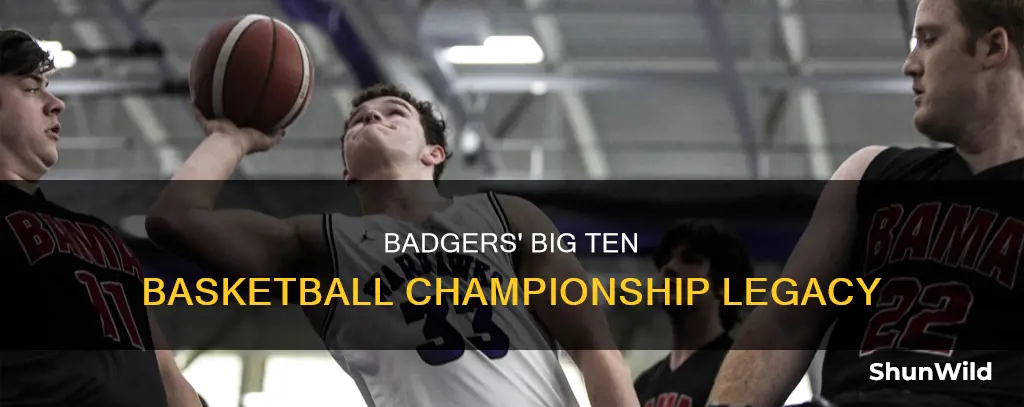 how many university of wisconsin basketball big 10 championships