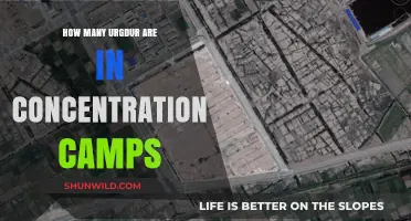 Unveiling the Truth: Uyghur Concentration Camps and Their Devastating Reality