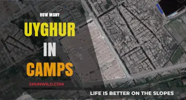 Uyghur Detention Camps: Unveiling the Scale of Incarceration in Xinjiang