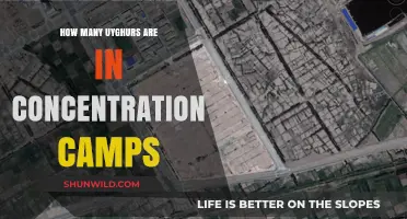Uyghur Detention Crisis: Estimating Numbers in Xinjiang Camps