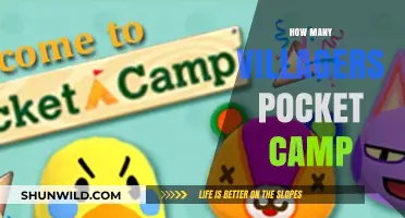 Pocket Camp Villagers: How Many Can You Have in Your Camp?