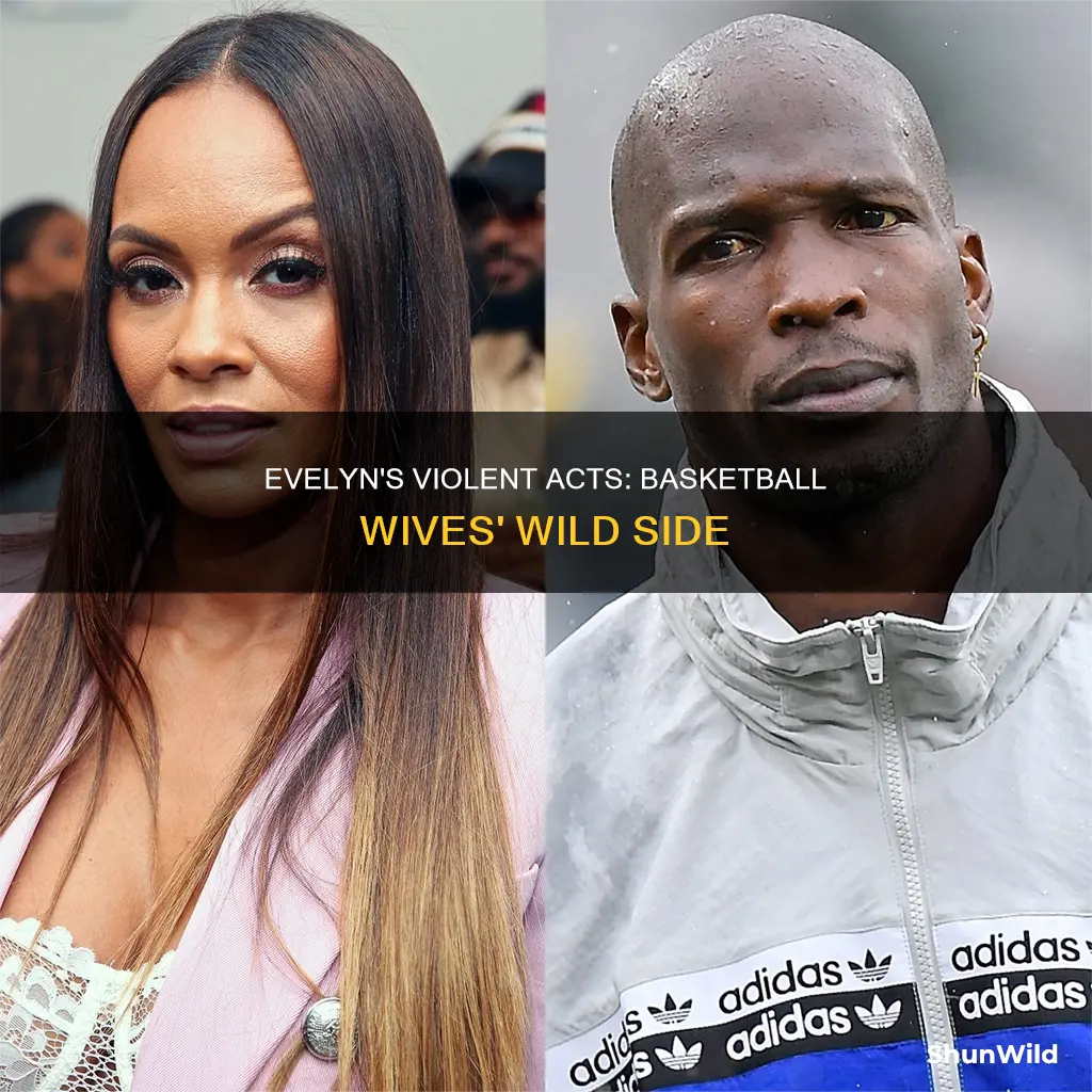 how many violent acts did evelyn from basketball wives do