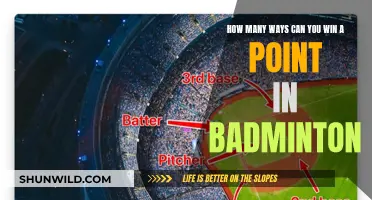 Winning Ways in Badminton: Strategies for Point-Scoring
