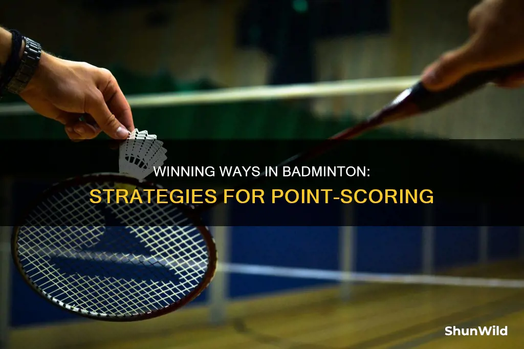 how many ways can you win a point in badminton