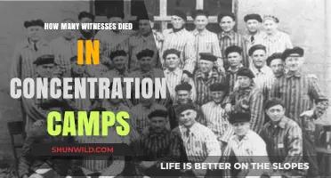 Witnesses Silenced: The Devastating Toll of Concentration Camp Deaths