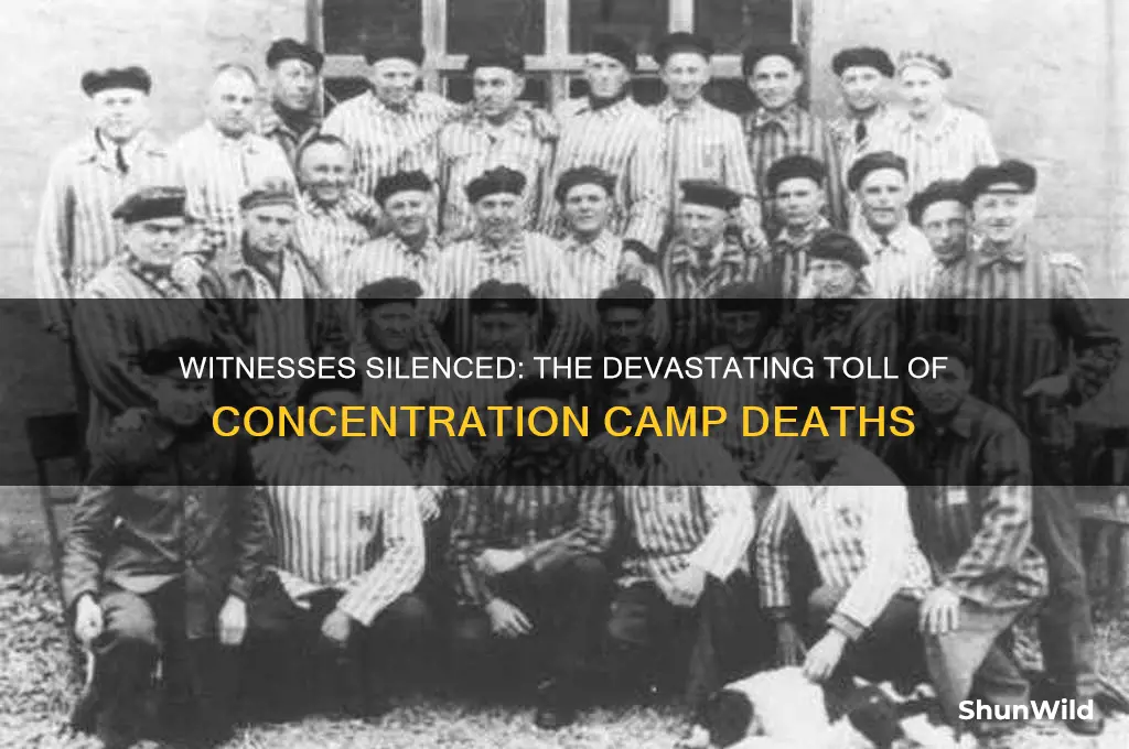 how many witnesses died in concentration camps