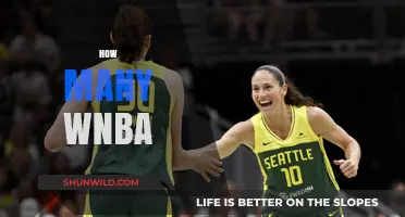 WNBA's Growth: How Many Teams Are There Now?