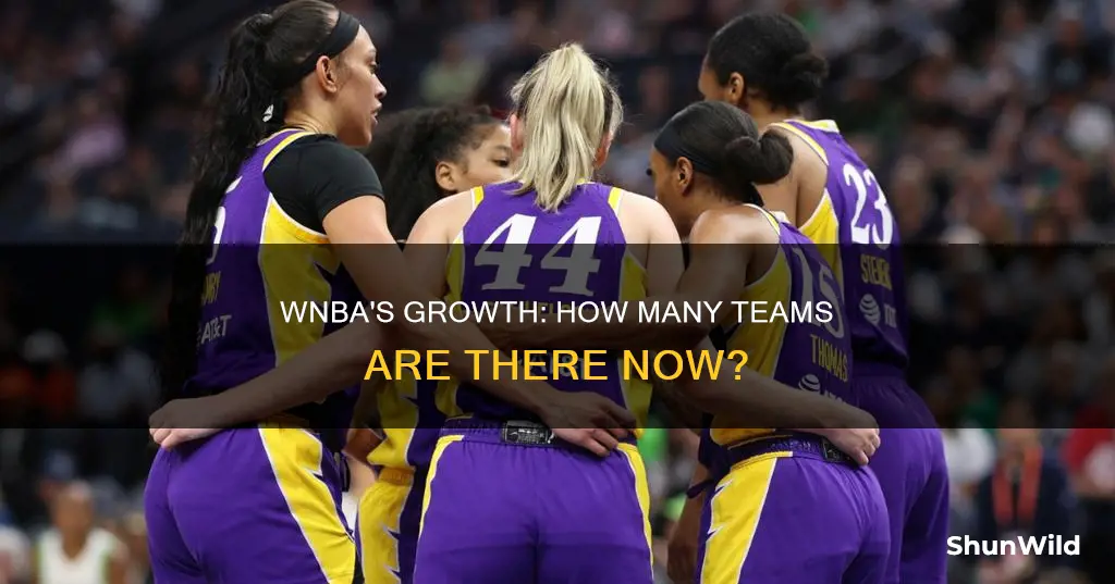 how many wnba