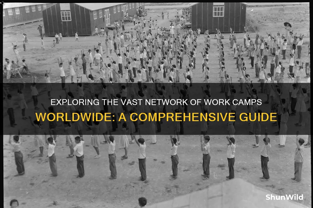 how many work camps
