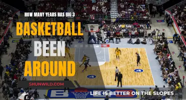 The Big 3 Basketball League's Existence Explored