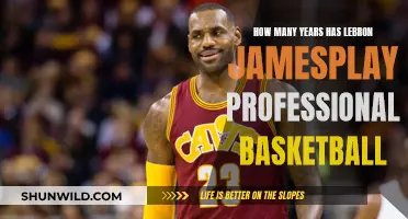 LeBron James' Professional Basketball Career Span
