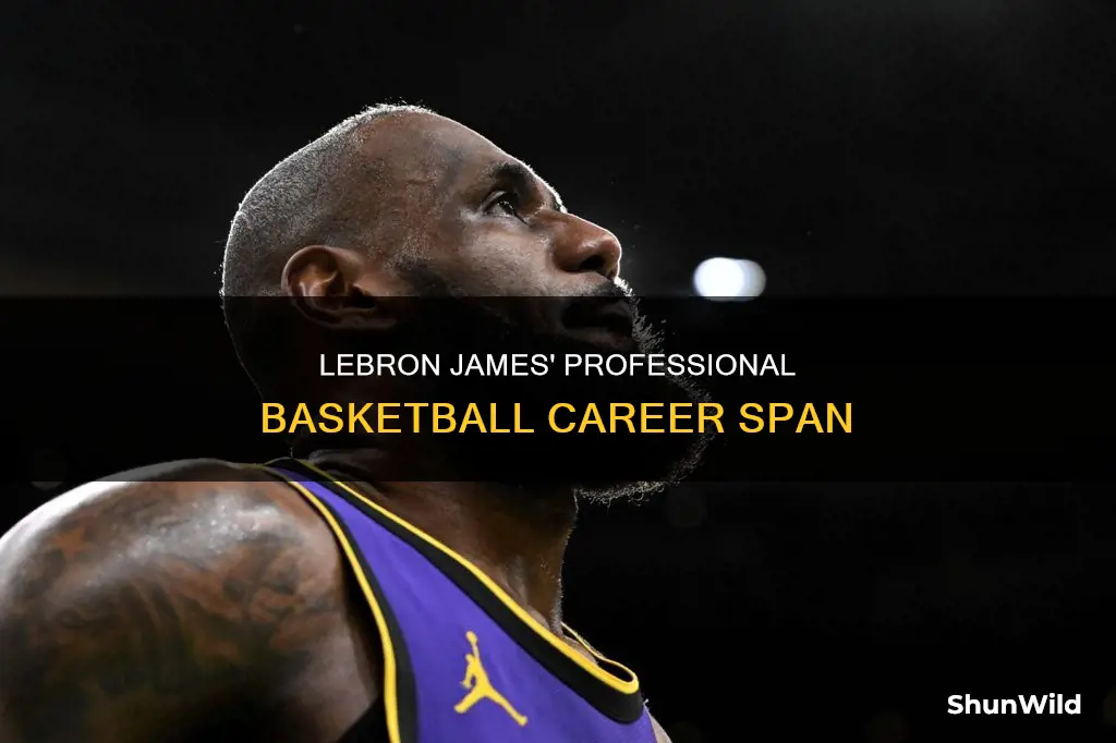 how many years has lebron jamesplay professional basketball