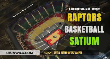 Exploring Toronto Raptors' Basketball Stadium Seating Capacity