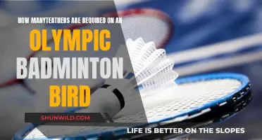The Olympic Badminton Bird's Feather Mystery Solved!