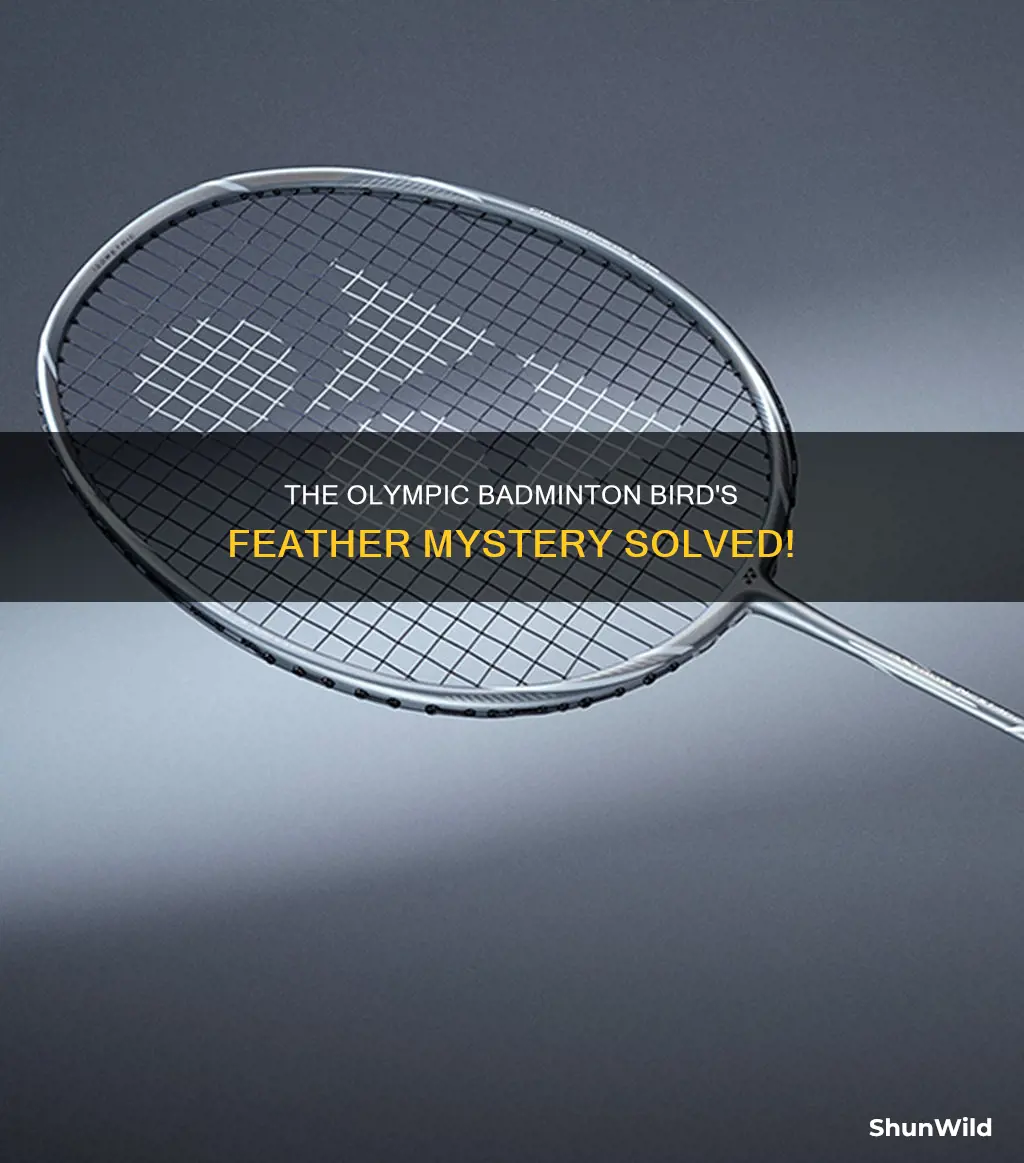 how manyteathers are required on an olympic badminton bird