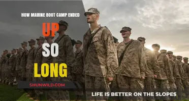 Why Marine Boot Camp's Lengthy Training Transformed Recruits into Warriors