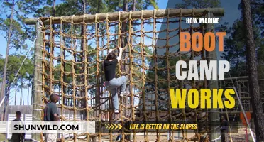 Inside Marine Boot Camp: Training, Discipline, and Transformation Explained