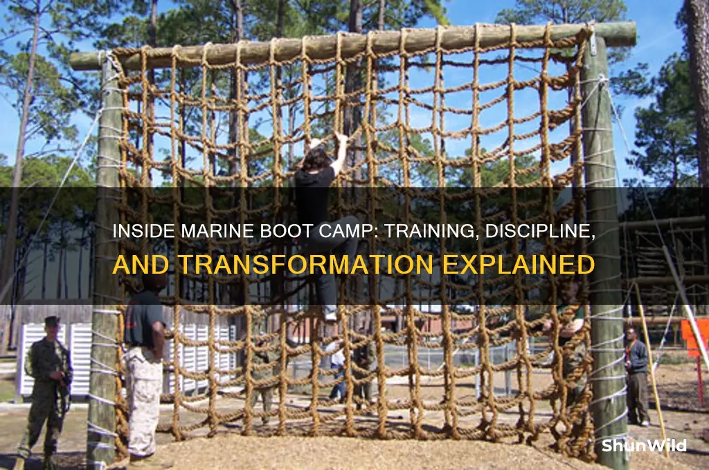 how marine boot camp works