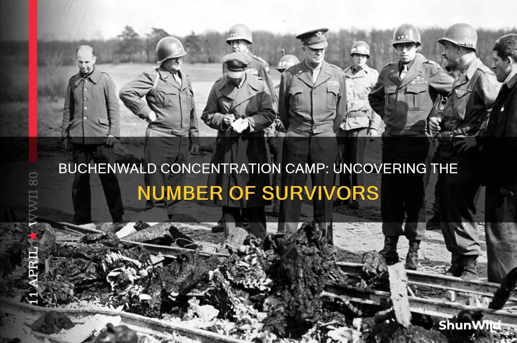 how meany servivers were ther in the buchenwald concentration camp