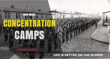 Concentration Camps: Historical Context, Impact, and Lessons for Humanity
