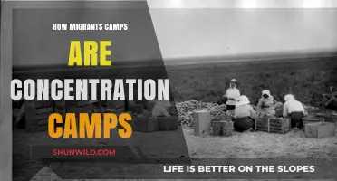Migrant Camps as Modern Concentration Camps: A Humanitarian Crisis