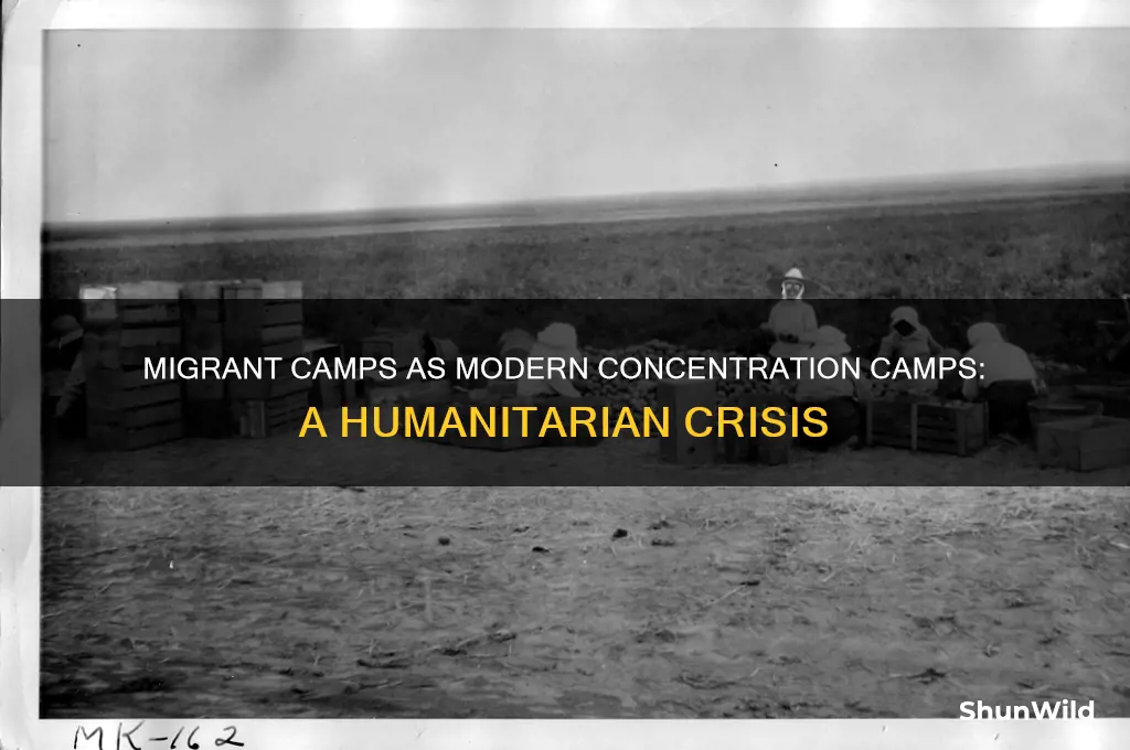 how migrants camps are concentration camps