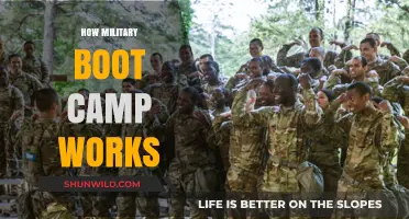 Inside Military Boot Camp: Rigorous Training, Discipline, and Transformation Explained