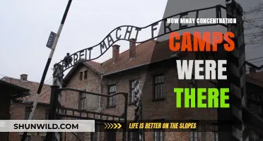 Unveiling the Scale: Concentration Camps Count and Historical Context