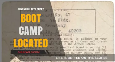 Discover the Cost of Aly's Puppy Boot Camp: Location and Pricing