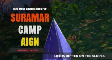 Suramar Campaign Mana Cost: Ancient Mana Requirements Explained