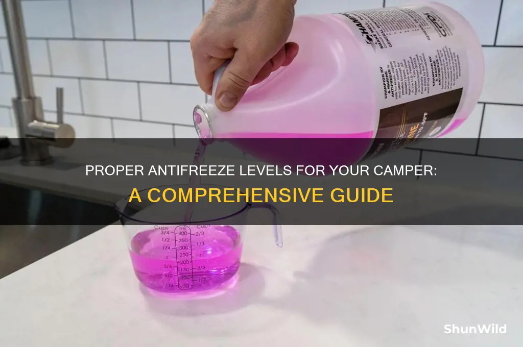 how much antifreeze for camper
