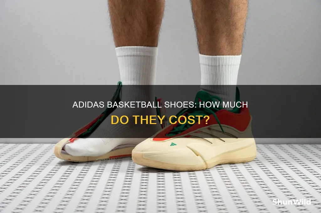 how much are adidas basketball shoes