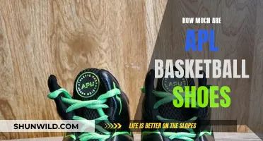 The Evolution of APL Basketball Shoes Pricing
