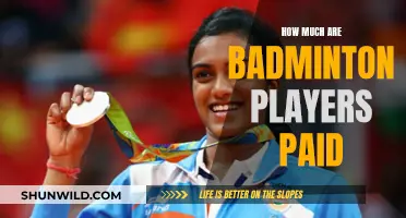 Lucrative Earnings of Badminton Athletes
