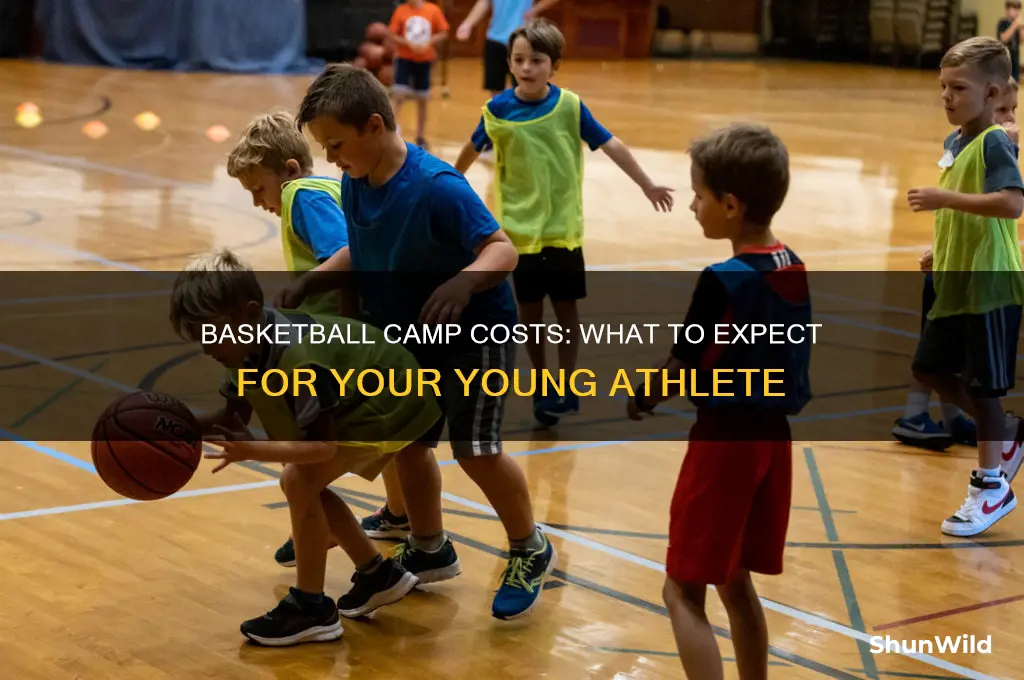 how much are basketball camps