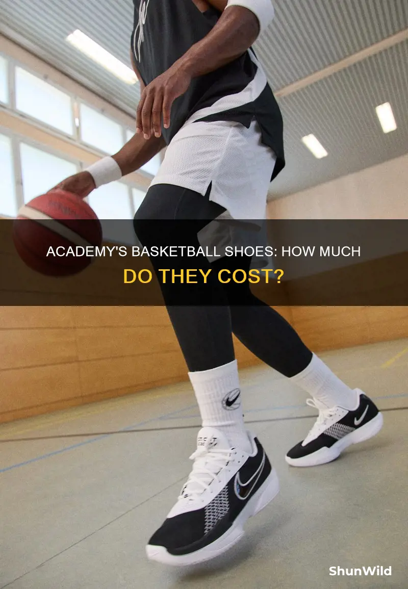 how much are basketball shoes at academy