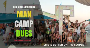 Understanding Burning Man Camp Dues: Costs, Factors, and Budgeting Tips