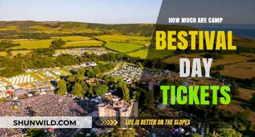 Camp Bestival Day Ticket Prices: What You Need to Know
