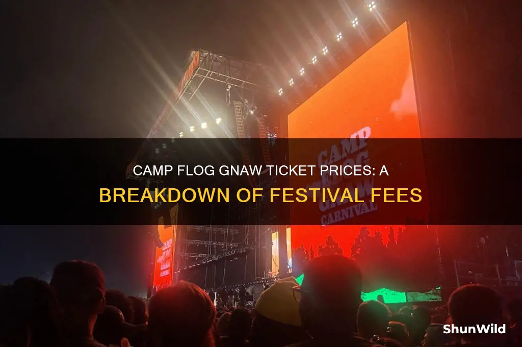 how much are camp flog gnaw fees